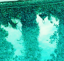 Mantenimiento de piscinas