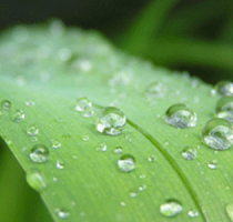 Instalación y mantenimiento de sistemas de riego